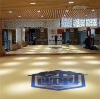 Килимок XPE для боксу Jodo MMA